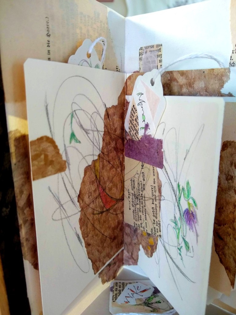 open pages of the book