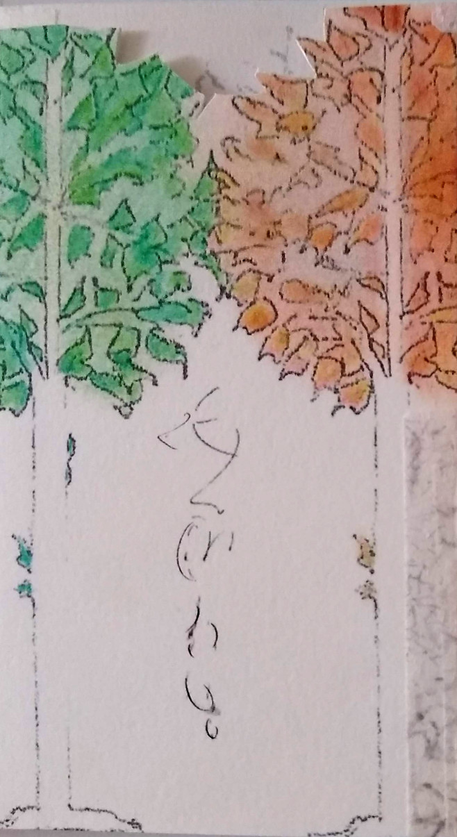 detail of tree drawing
