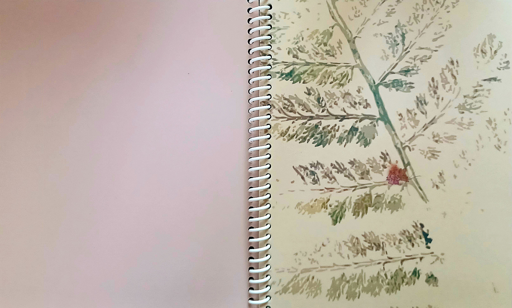 Booklet designed as artist's book